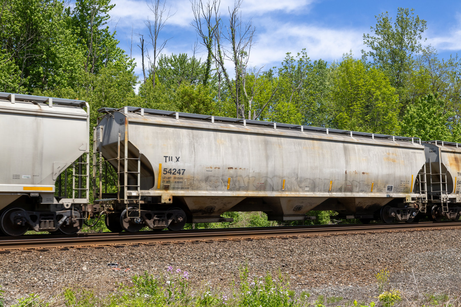 TILX 54247