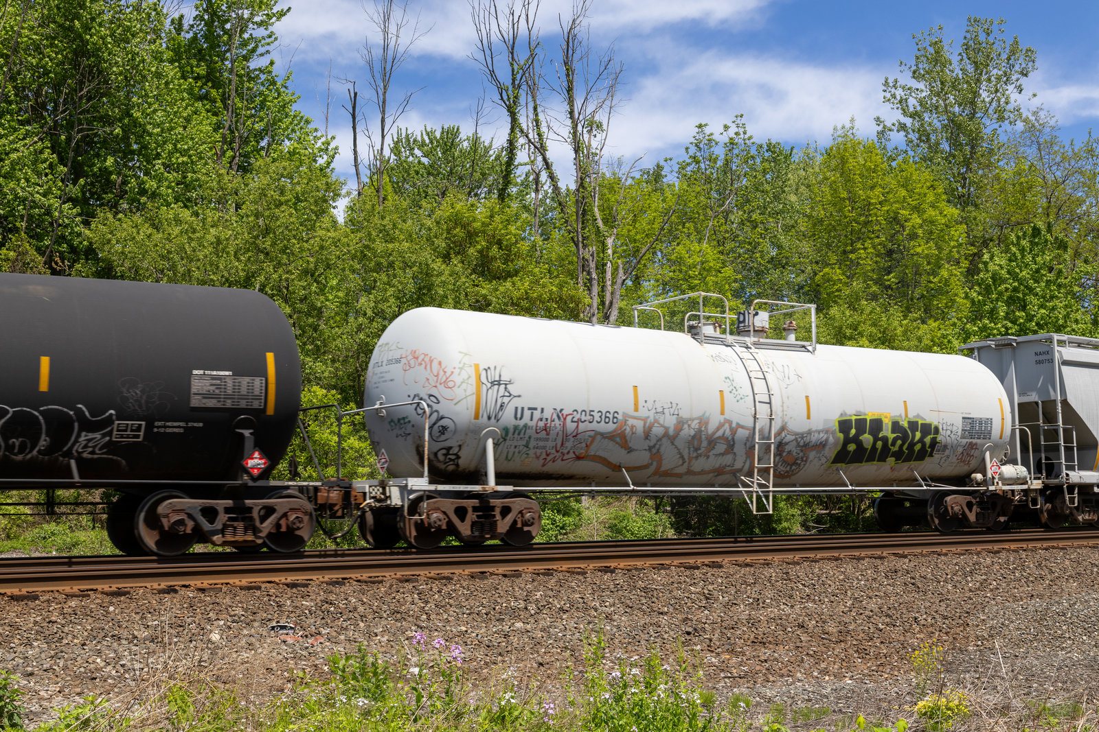 UTLX 205366