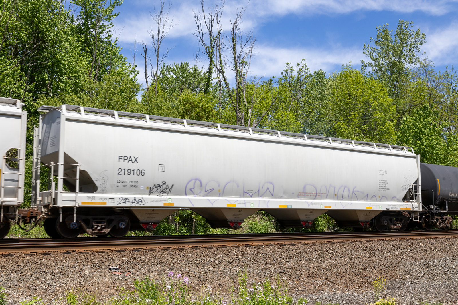 FPAX 219106