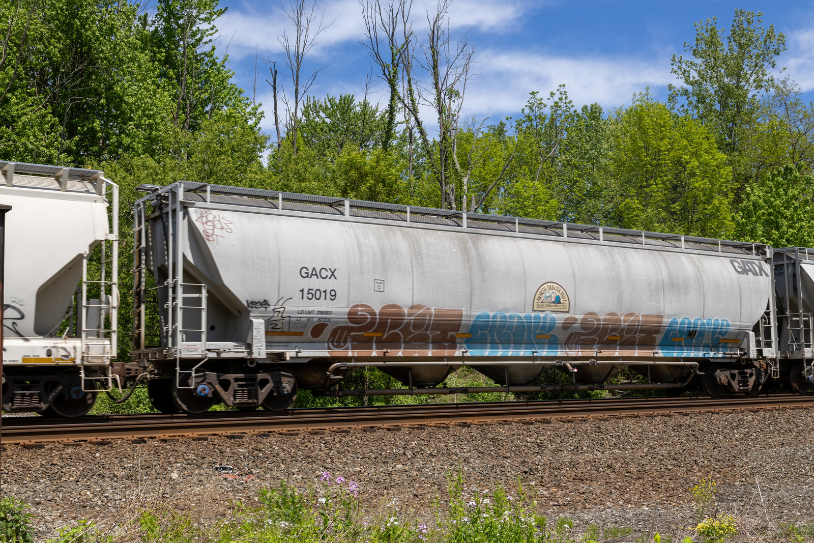 GACX 15019