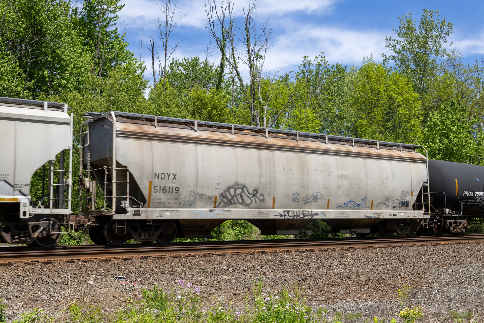 NDYX 516119