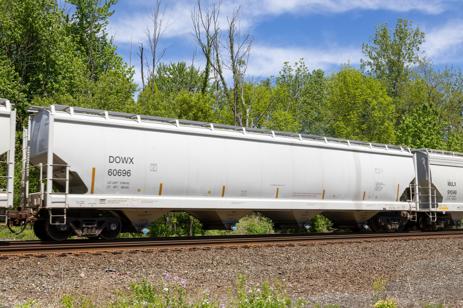 DOWX 60696