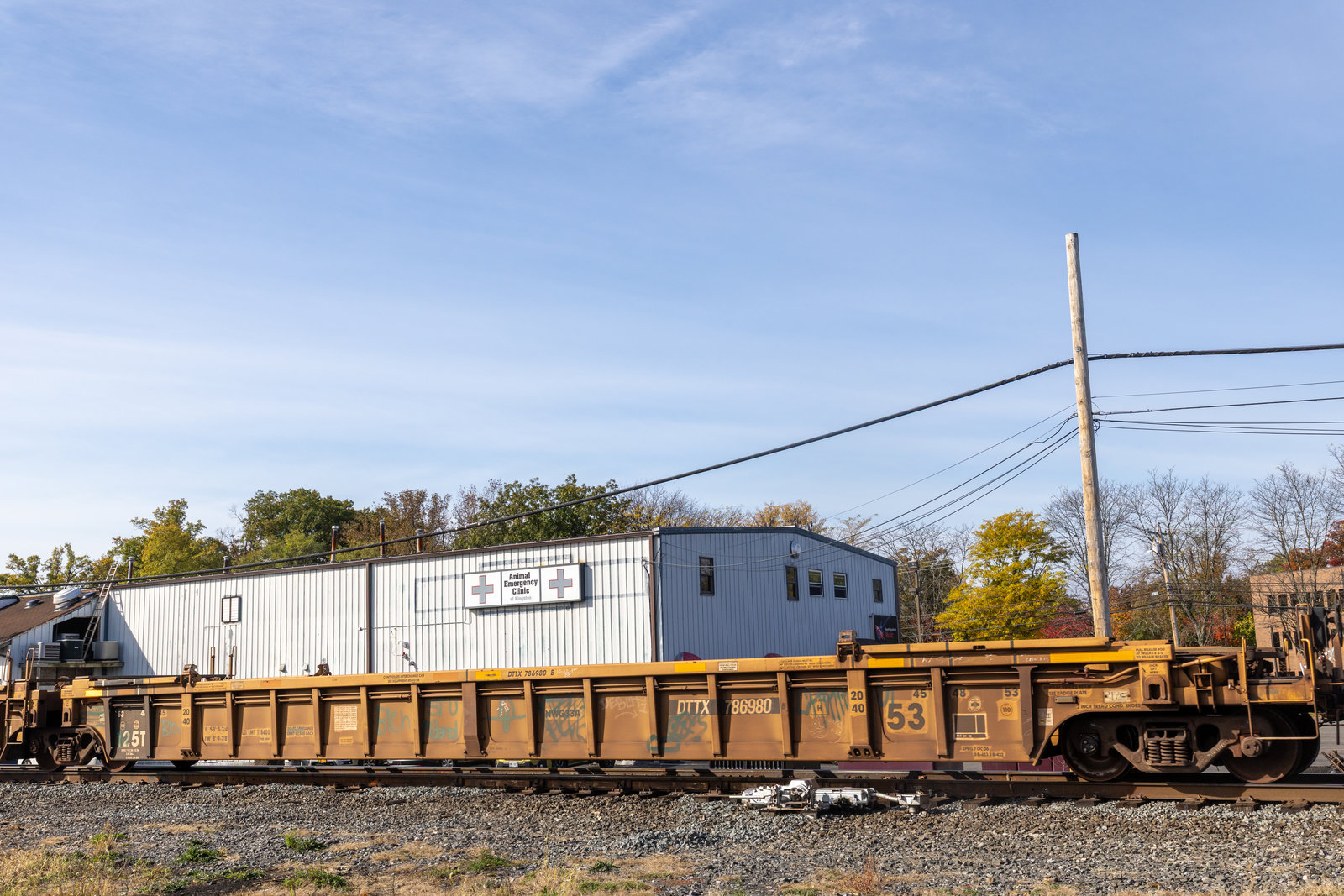 DTTX 786980B