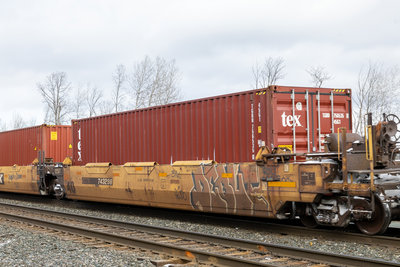 DTTX 743298B