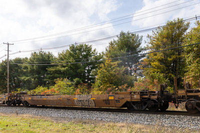 DTTX 59849