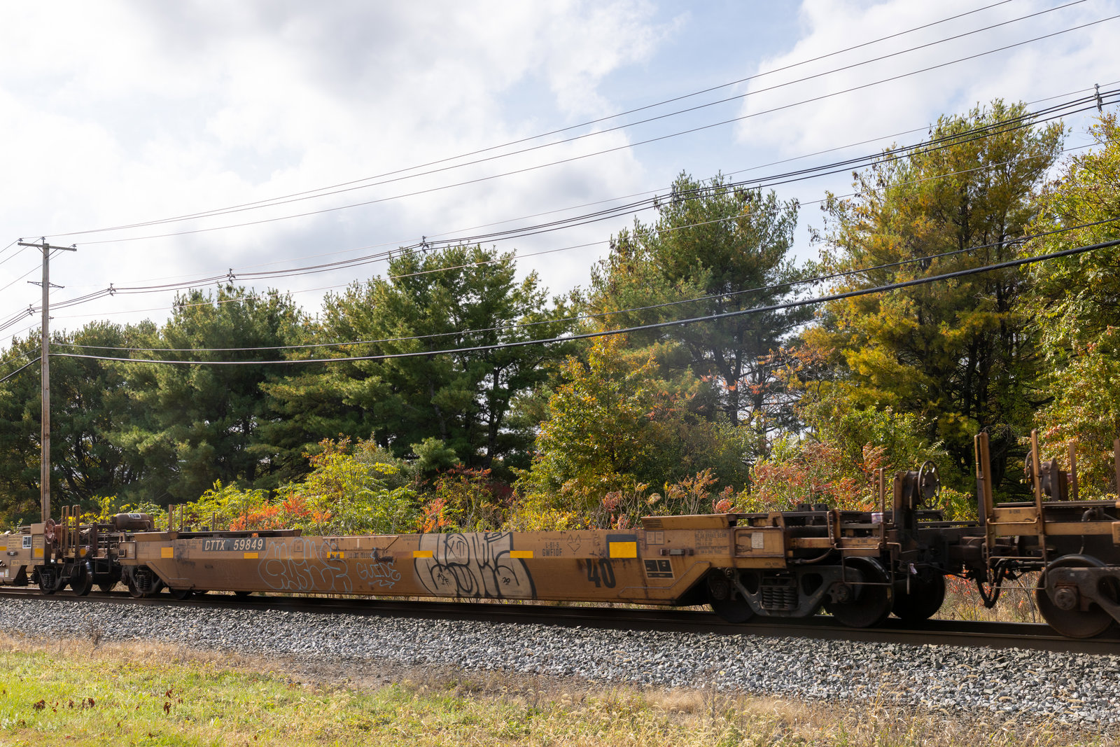 DTTX 59849