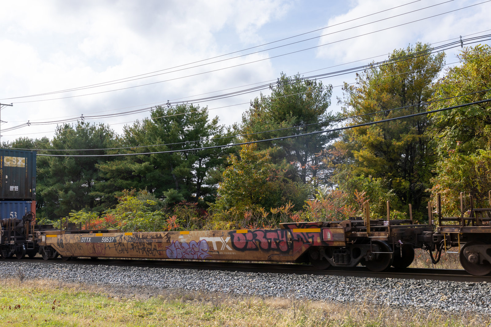DTTX 59537