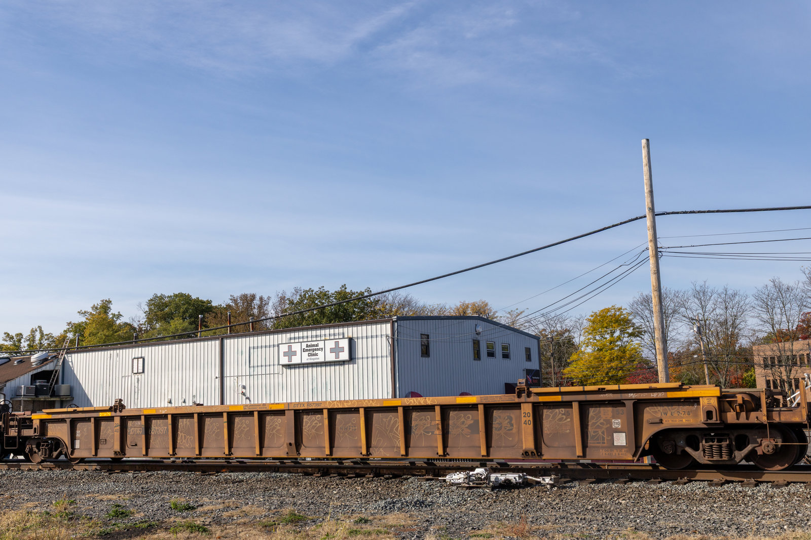 DTTX 657397