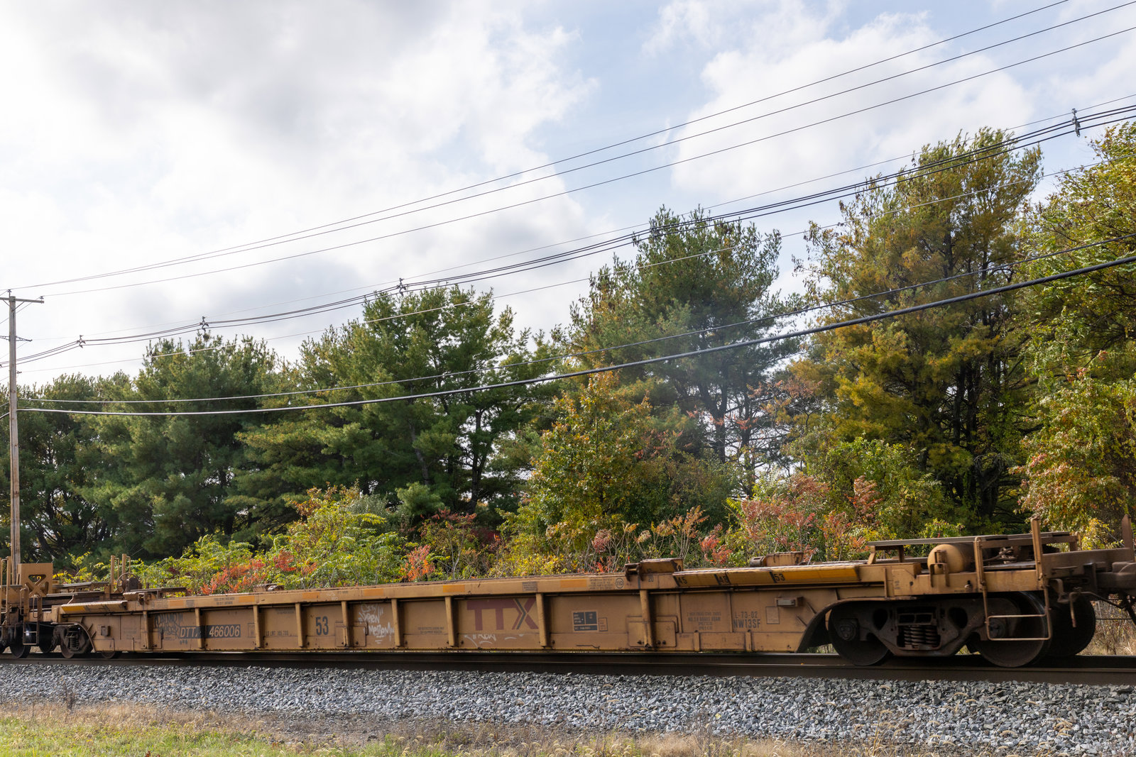 DTTX 466006