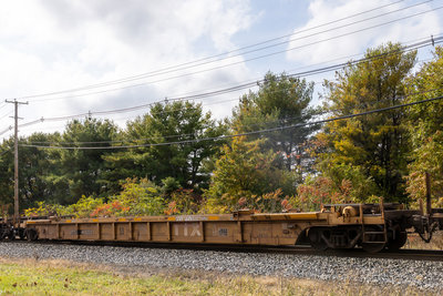 DTTX 468223