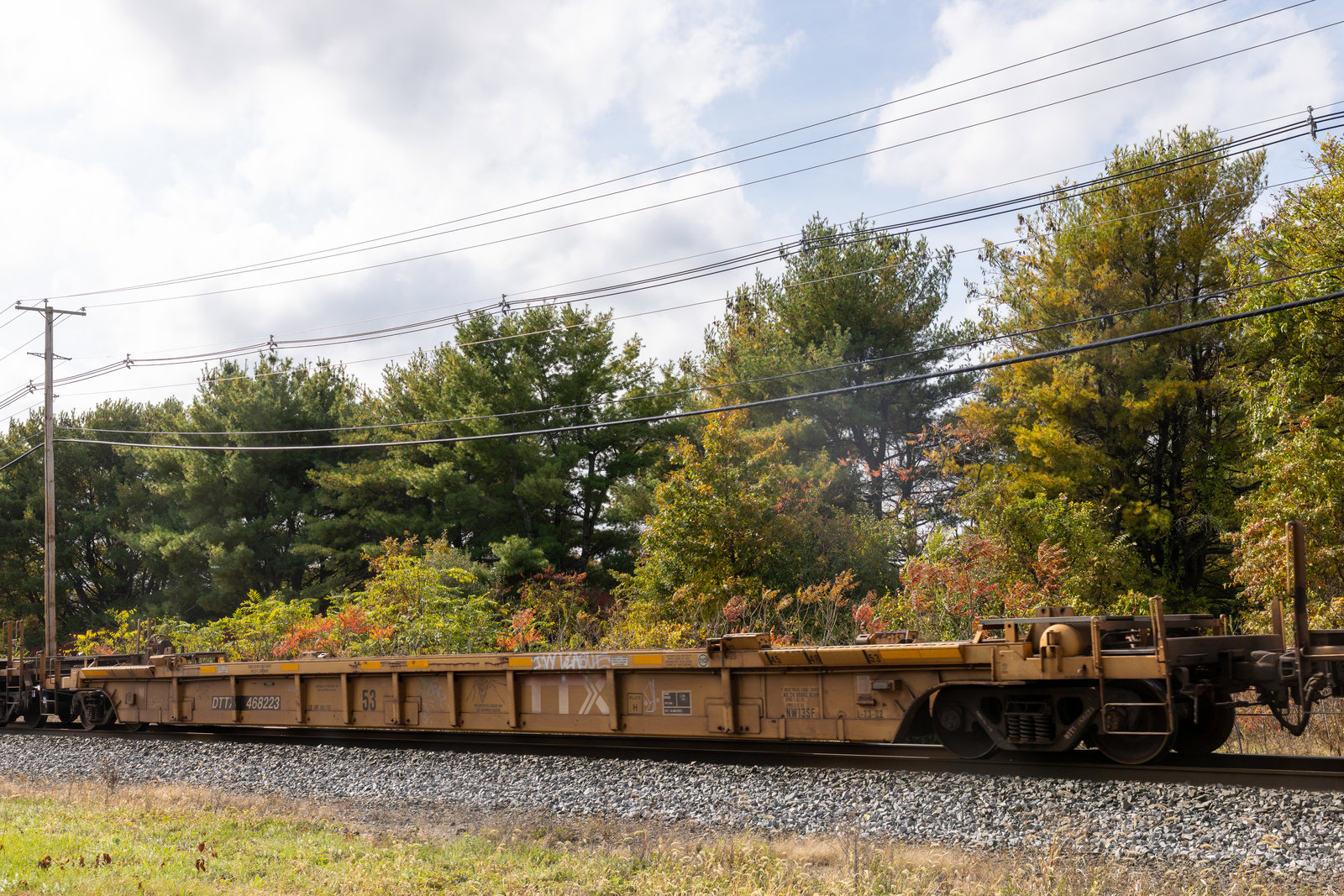 DTTX 468223