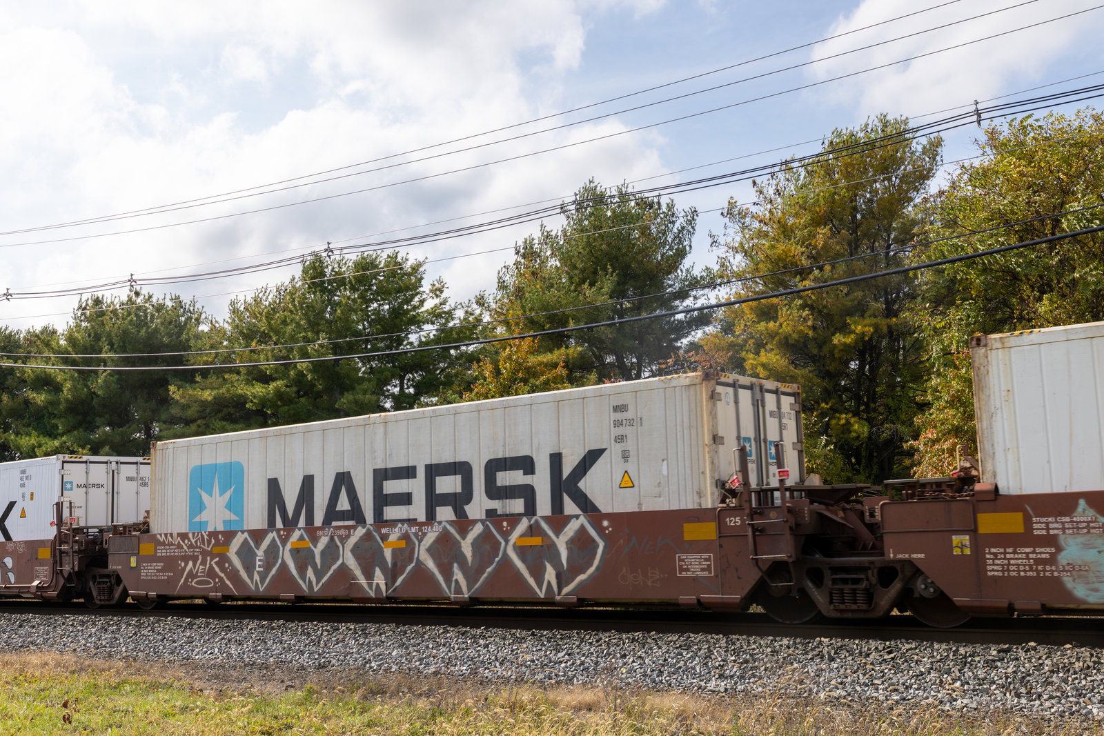 BNSF 239069E