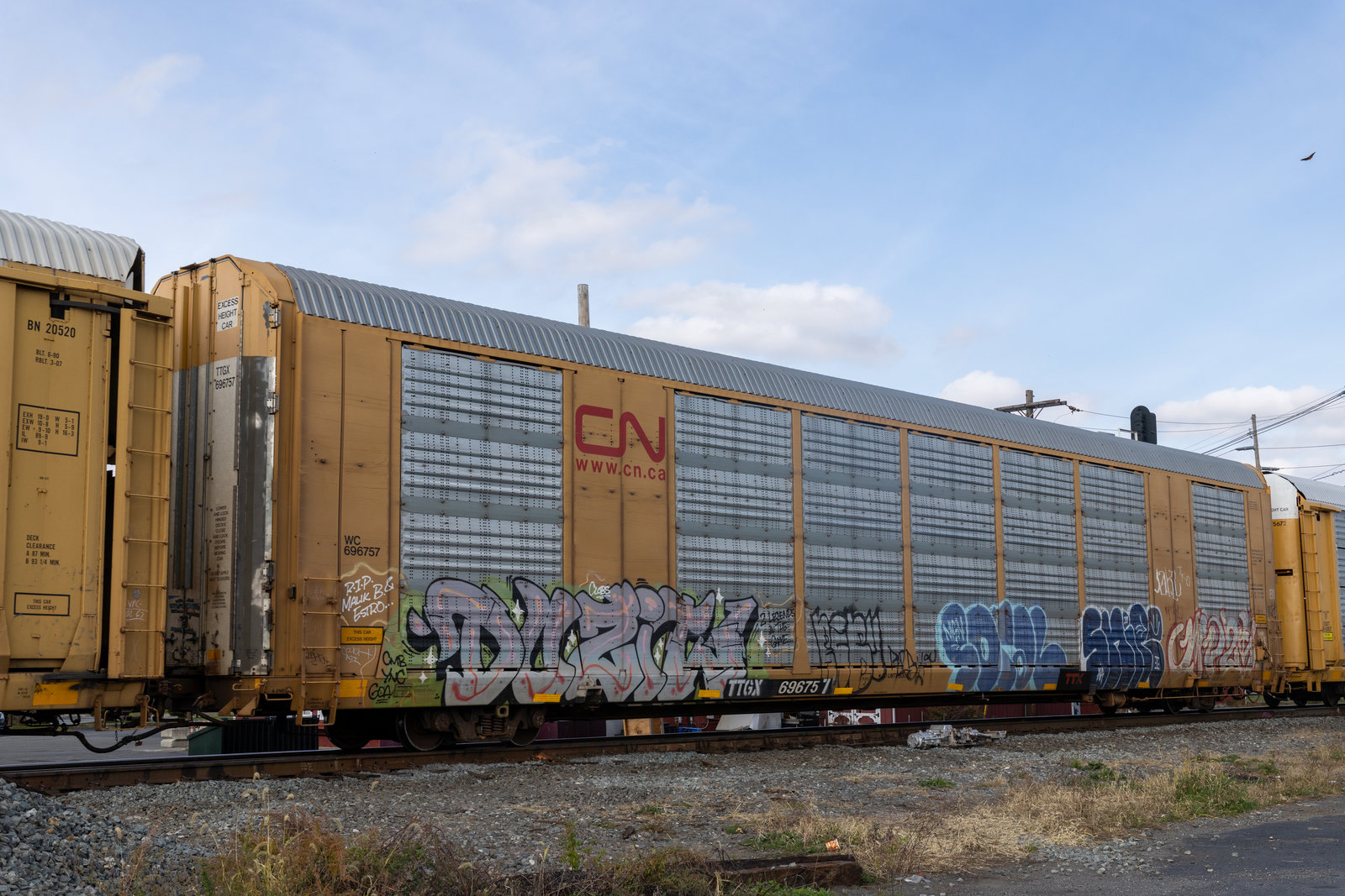 TTGX 696757