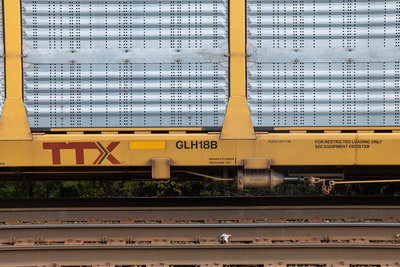 TTGX