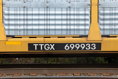 TTGX 699933