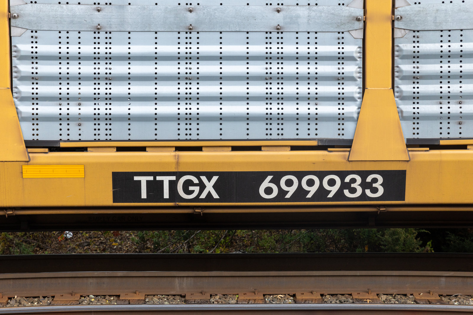 TTGX 699933