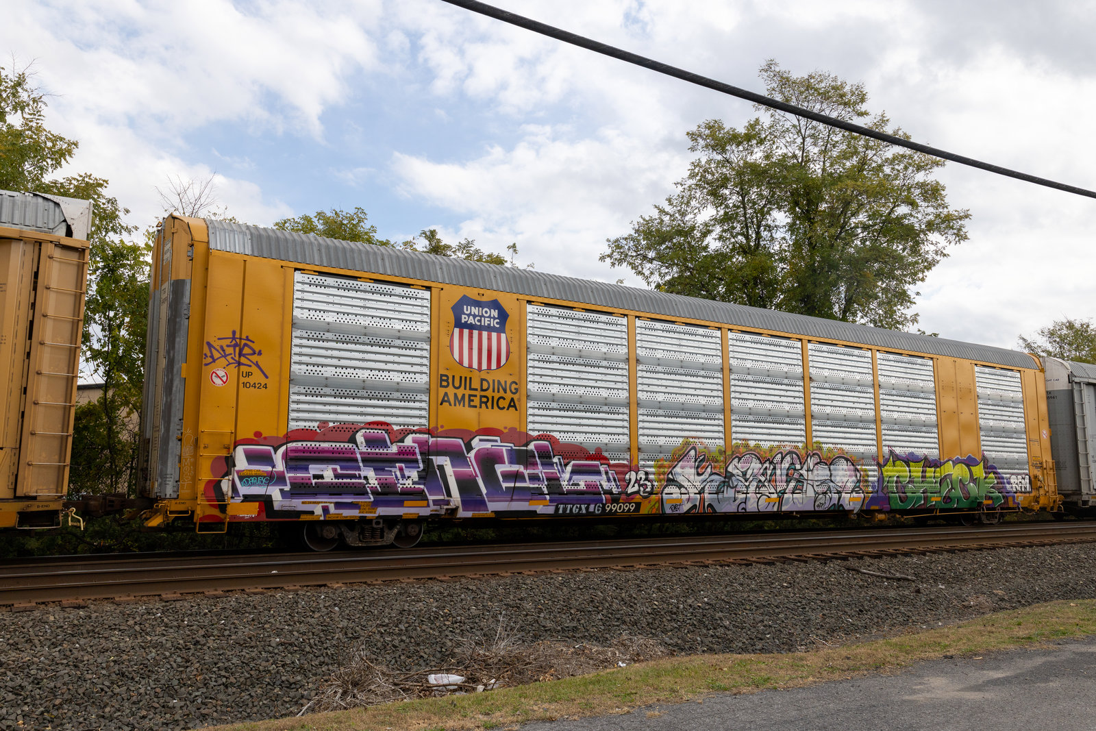 TTGX 699099