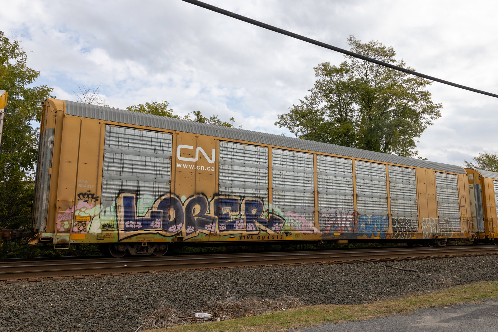 TTGX 694317