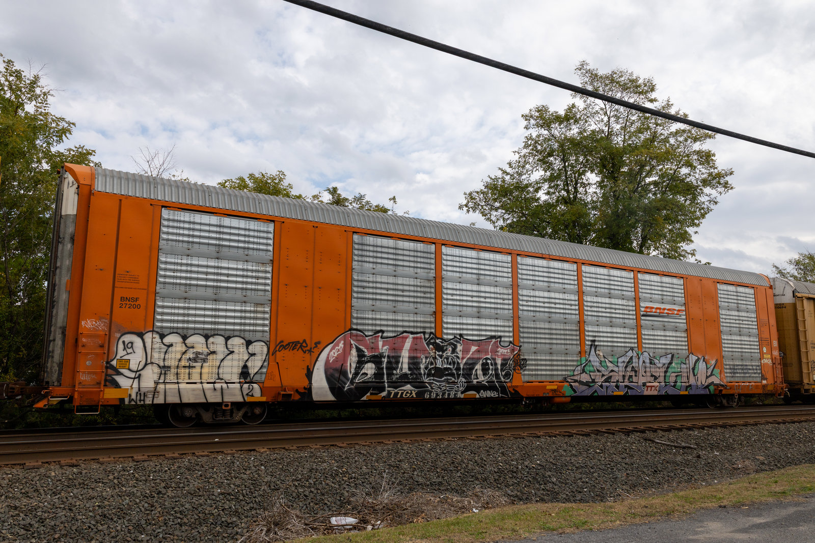 TTGX 693484