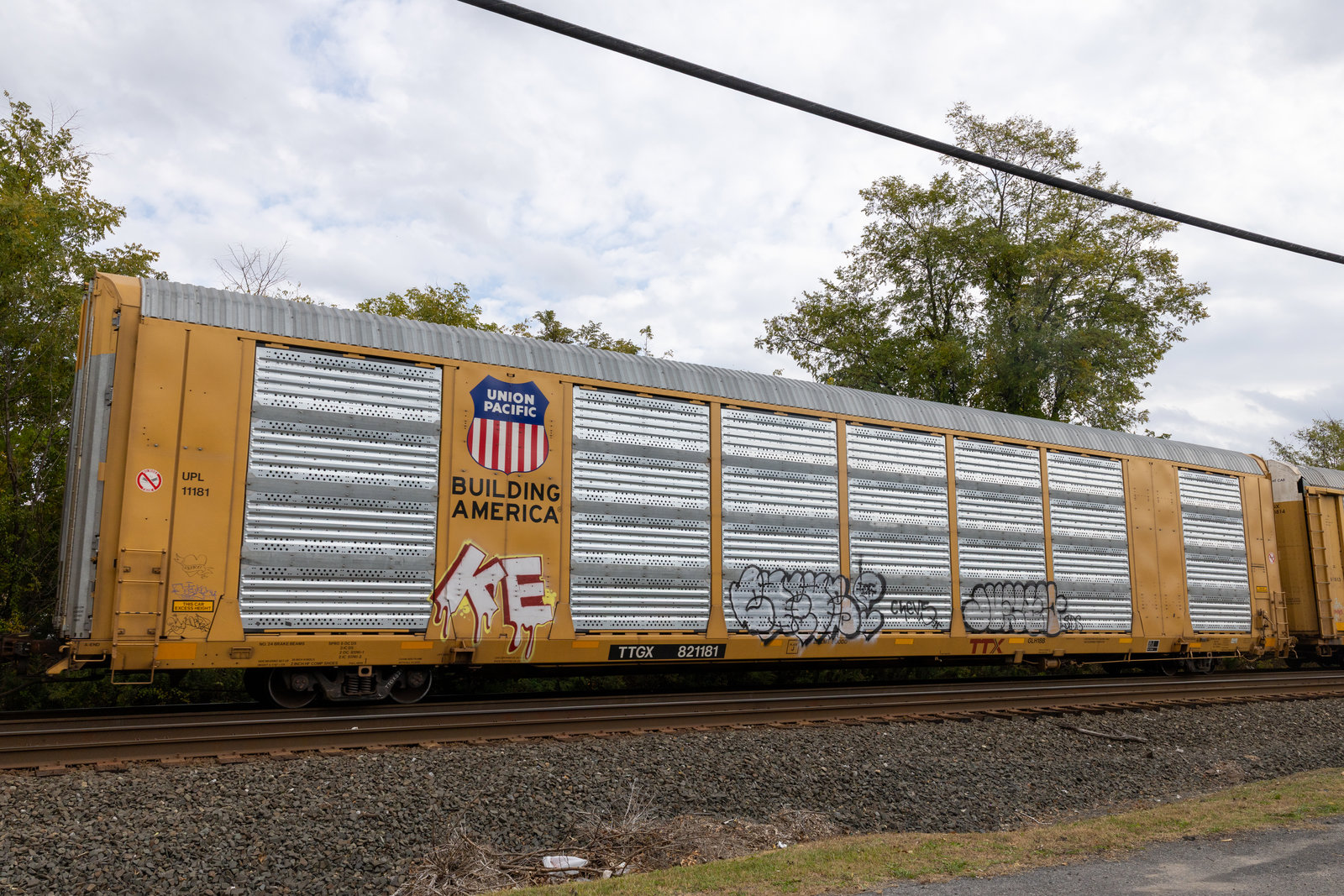 TTGX 821181