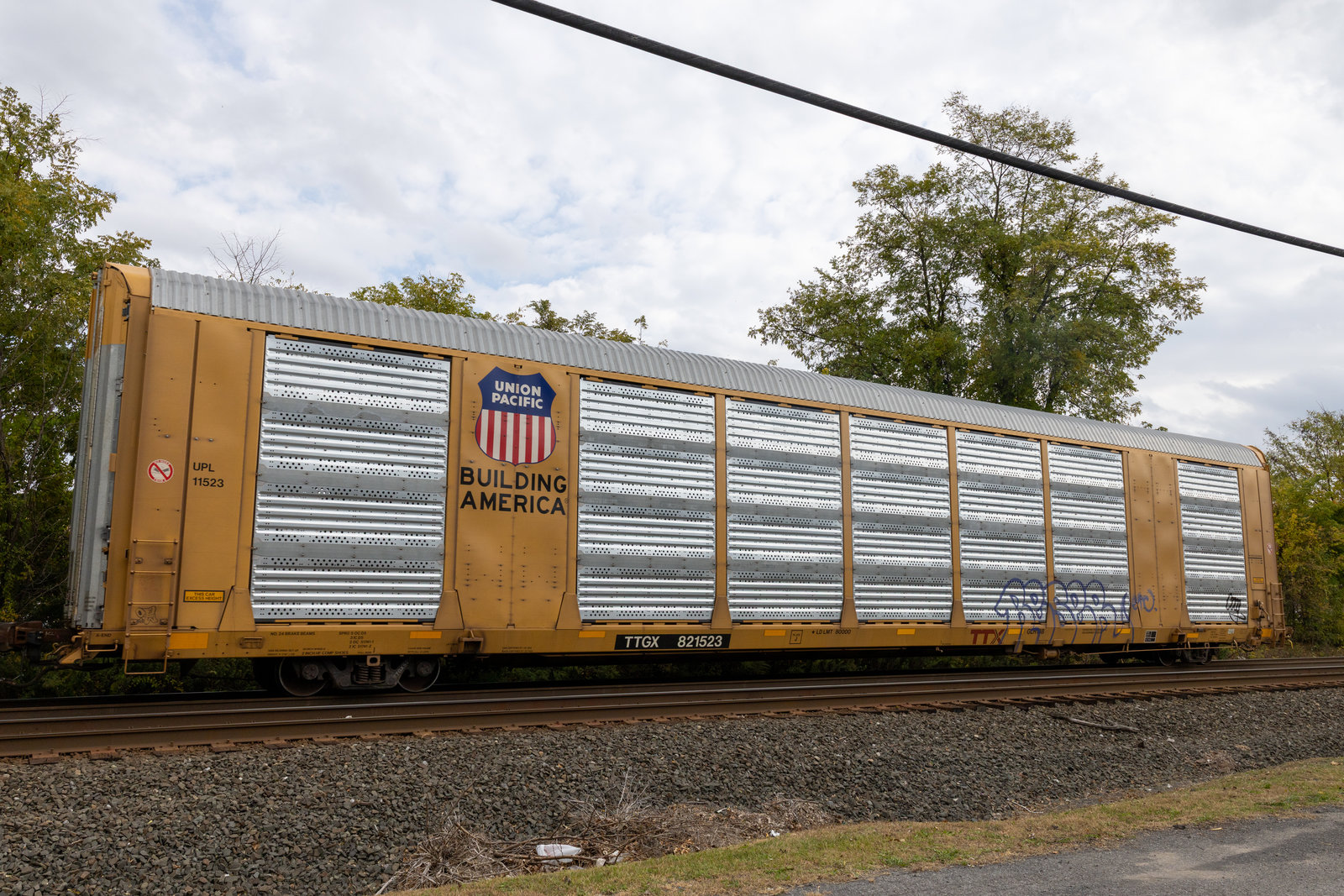 TTGX 821523