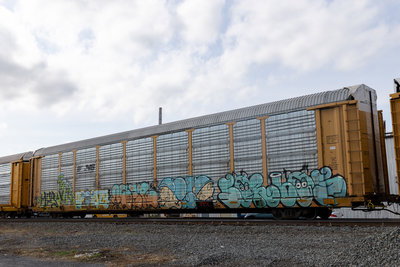 TTGX 707078