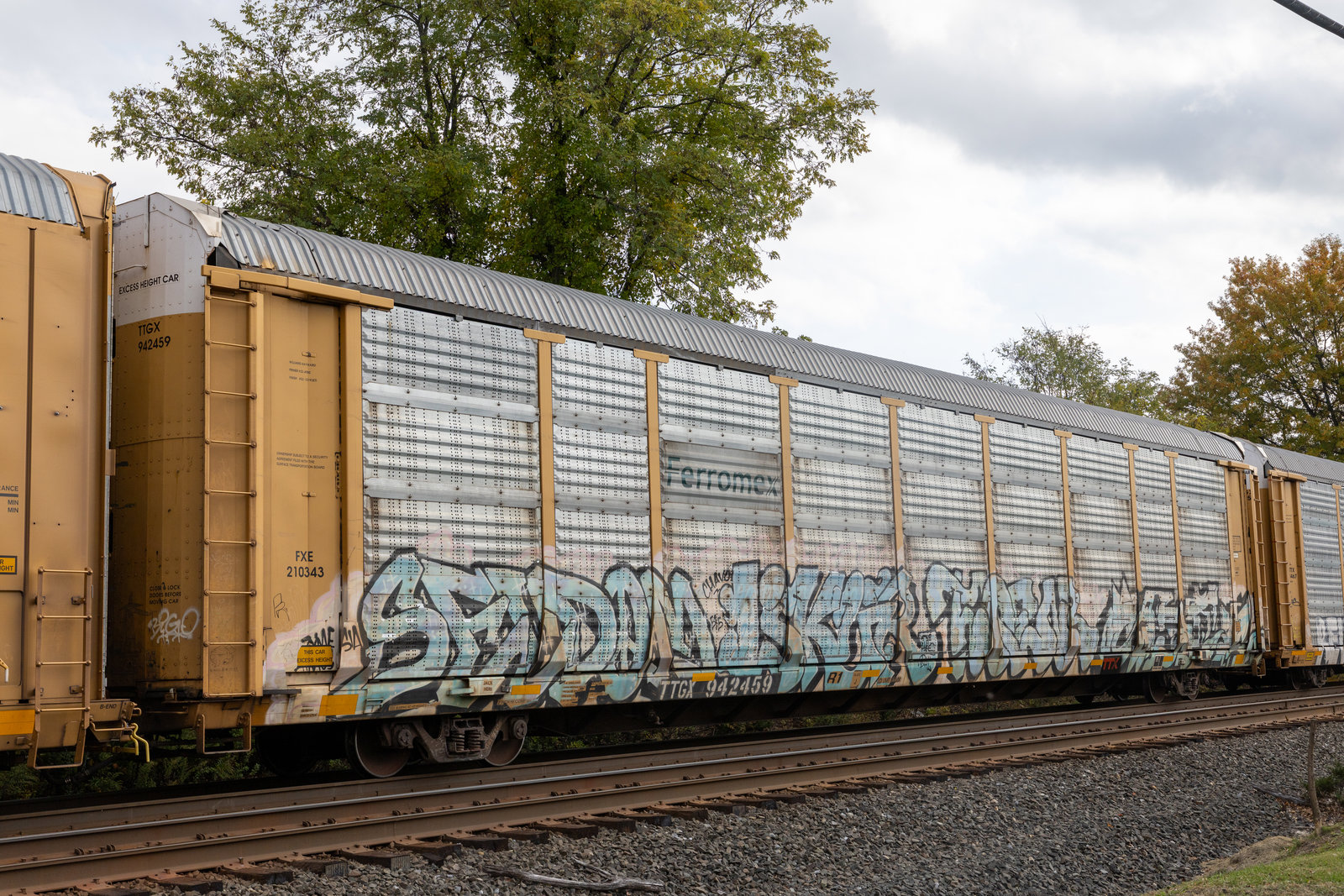 TTGX 942459