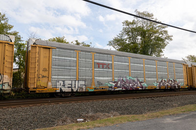 TTGX 710850