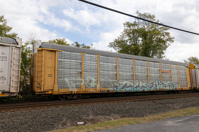 TTGX 952489