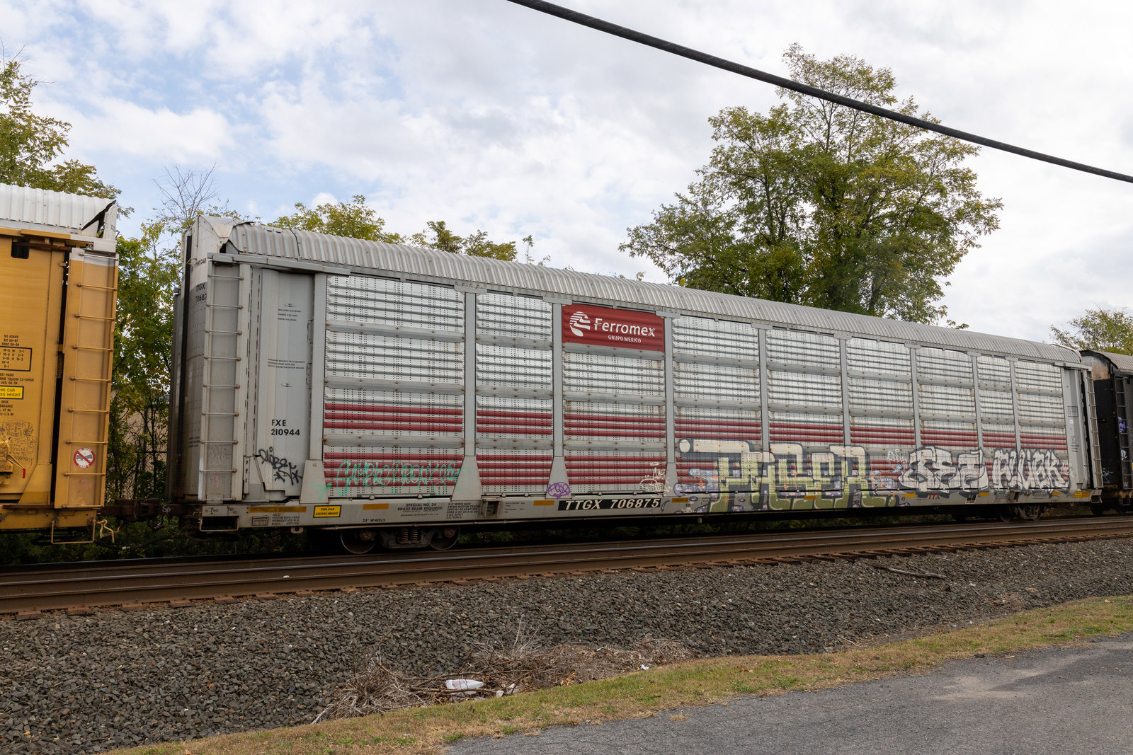 TTGX 706875