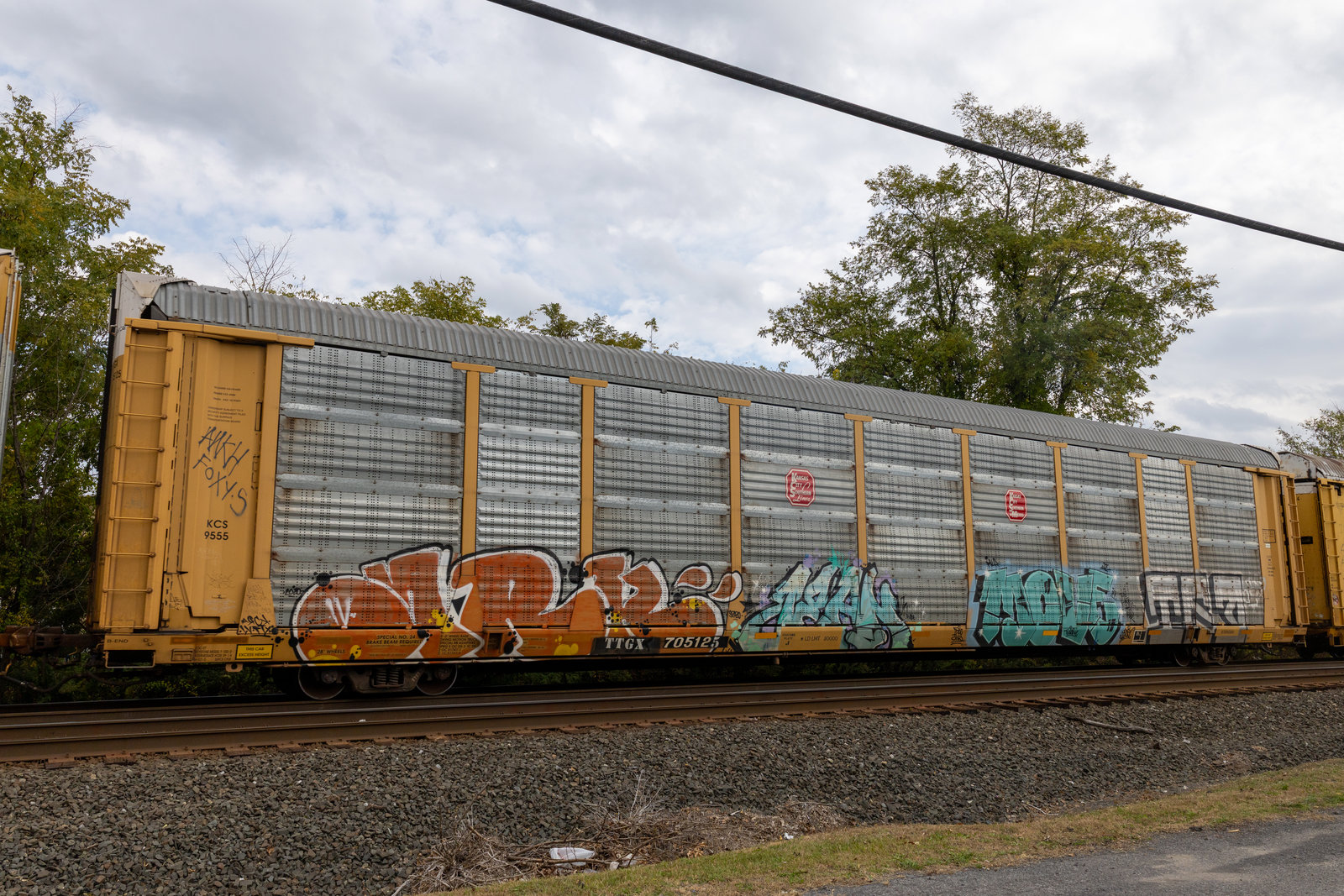 TTGX 705125