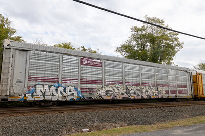 TTGX 705221