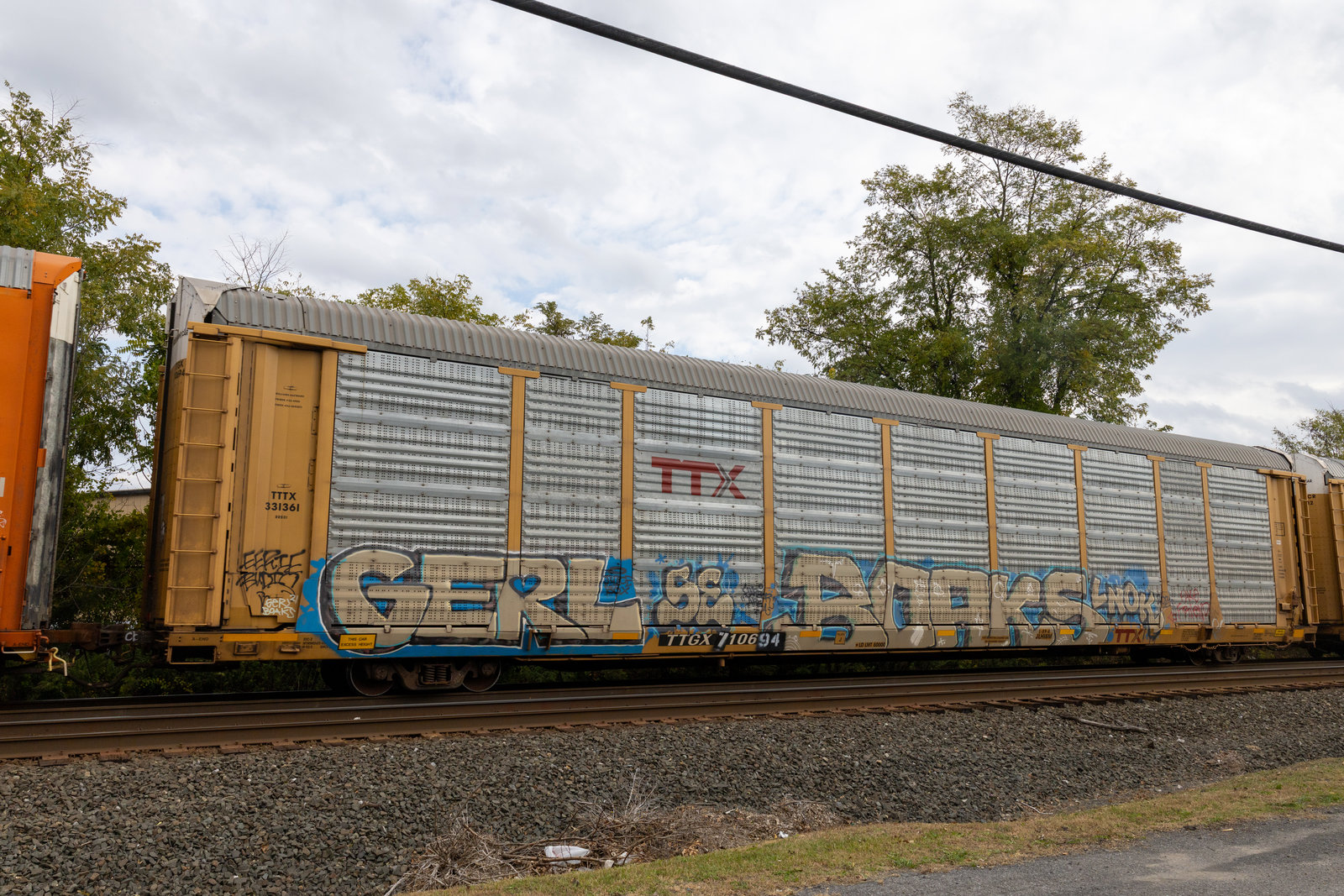 TTGX 710694