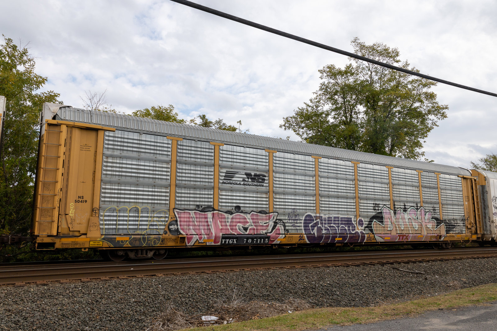 TTGX 707115
