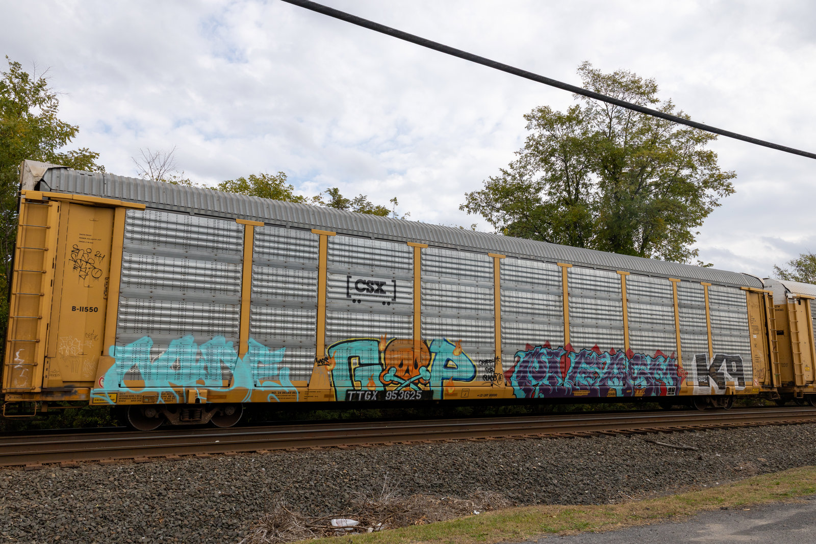 TTGX 953625