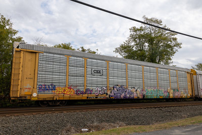 TTGX 953814