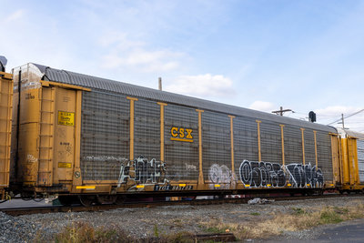 TTGX 985703