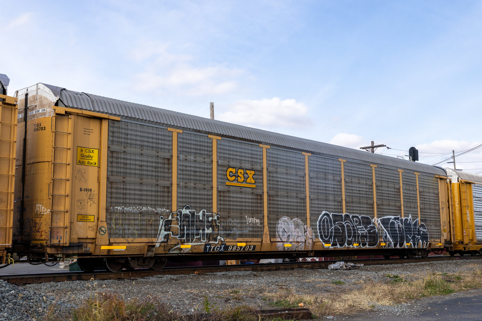 TTGX 985703