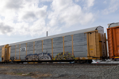 TTGX 982311