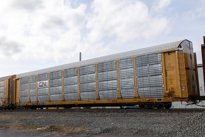 TTGX 974649