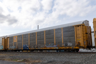 TTGX 981086