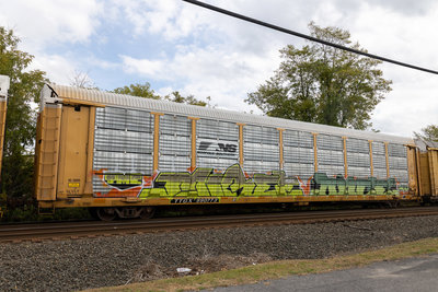 TTGX 990773