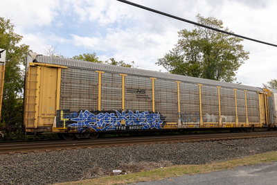 TTGX 985017