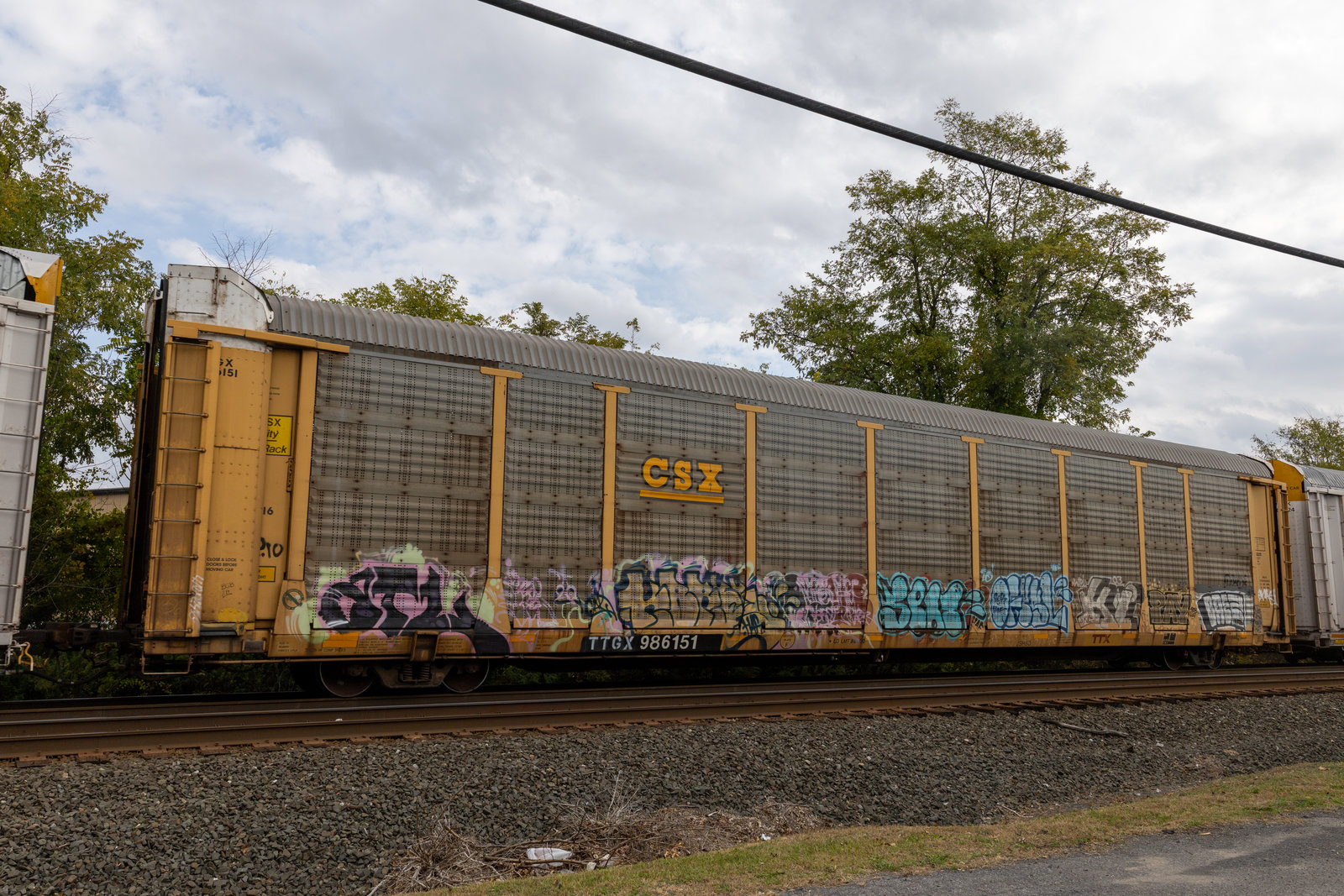 TTGX 986151
