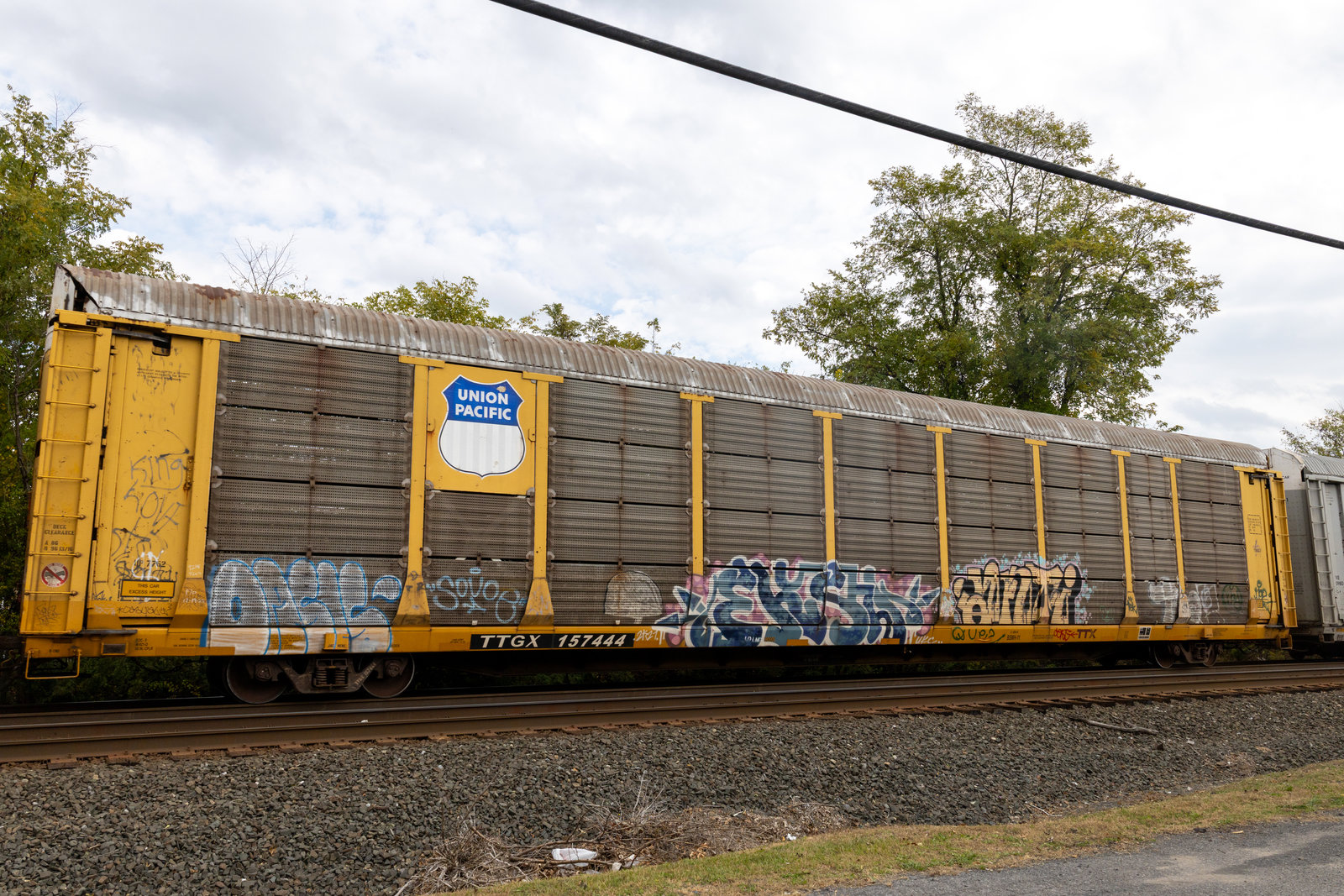 TTGX 157444