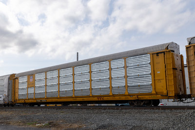 TTGX 942782