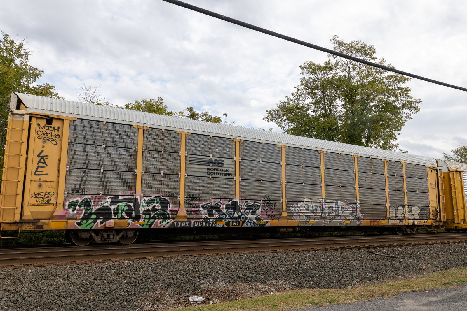 TTGX 965475