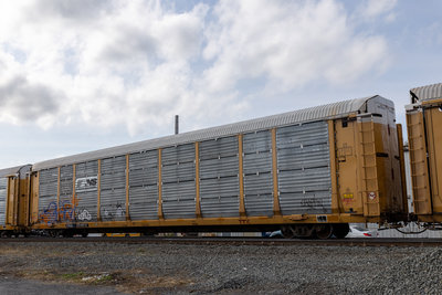 TTGX 254872