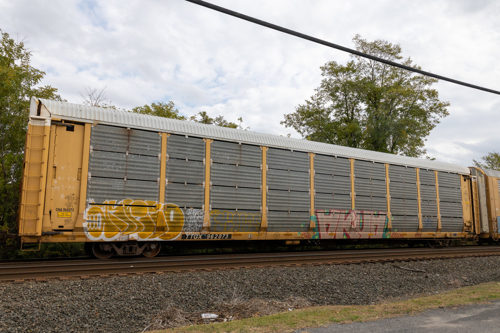 TTGX 962073