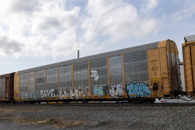 TTGX 715383